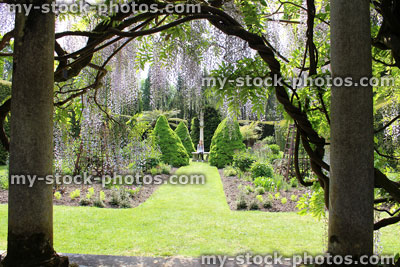 Stock image of young girl sitting on garden seat, viewed through wisteria flowers