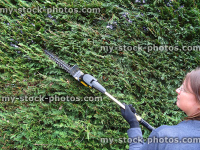 Stock image of woman cutting Leyandii hedging with long reach hedge trimmers