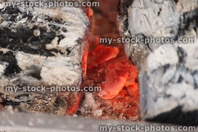 Stock image of fireplace / open fire with embers, ash burning logs
