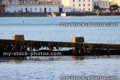 Stock image of wooden seaside groyne, sandy beach, sea defence, town, houses