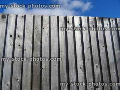 Stock image of wooden featherboard fence, traditional fencing panels, weathered timber