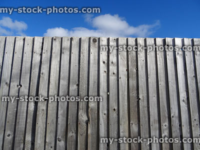 Stock image of wooden featherboard fence, traditional featherboard fencing panels, weathered timber