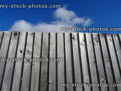 Stock image of wooden featherboard fence, feather edge fencing panels, weathered timber, blue sky