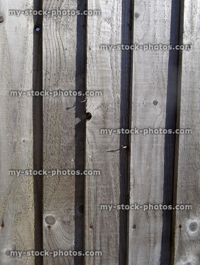 Stock image of wooden featherboard fence, feather edge fencing panels, silver weathered timber