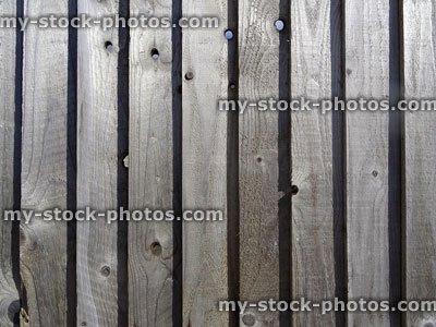 Stock image of wooden featherboard fence, fencing panels, feather edge timber