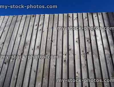 Stock image of wooden feather edge fence, treated / tanalised timber feather edge fencing