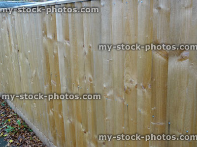 Stock image of new, wooden featherboard fence, traditional featherboard fencing panels