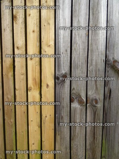 Stock image of old and new featheredge fencing boards / wooden fence