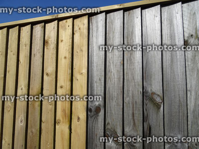 Stock image of new lengths of featheredge timber fencing / fence wood