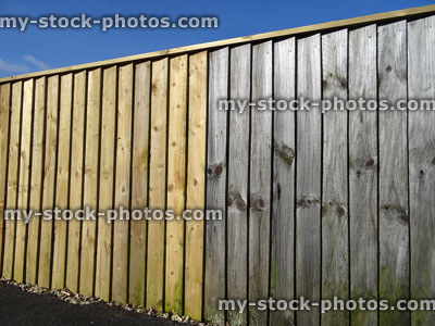 Stock image of new and old sections of featheredge timber fence