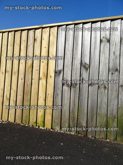 Stock image of featherboard / featheredge treated timber fencing, weathered silver wood