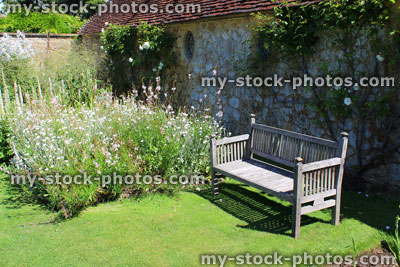 Stock image of wooden garden bench on lawn, herbaceous flower border, stachys, gaura