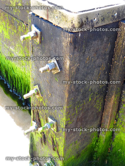 Stock image of wooden groyne at seaside with metal bolts, seaweed