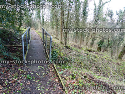 Stock image of woodland with pathway, small metal bridge, winter scene