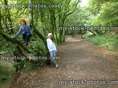 Stock image of children by a woodland river, climbing up tree