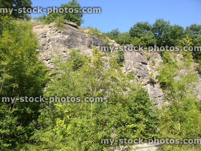 Stock image of abandoned limestone quarry cliff face, overgrown with trees