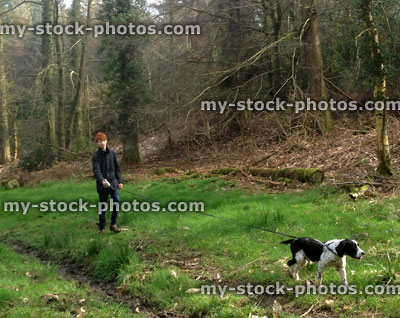 Stock image of boy walking Springer spaniel dog along woodland trail