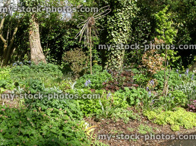 Stock image of Cottage Garden Herbaceous Border