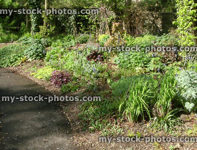 Stock image of pathway through a garden