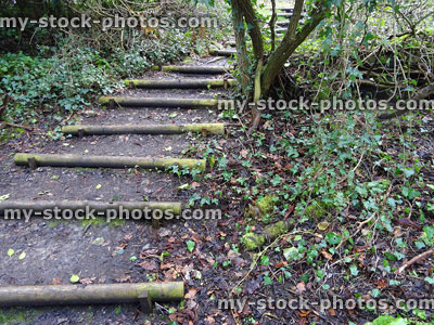 Stock image of rustic garden steps / stairs up slope, made from logs