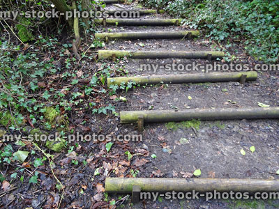 Stock image of rustic log steps / stairs in woodland garden hillside