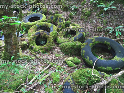 Stock image of woodland with discarded rubber tyres and moss, fly tipping