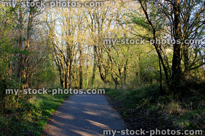 Stock image of country pathway / cycle way with trees in spring