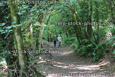 Stock image of boy and grandmother walking along woodland path in dappled shade