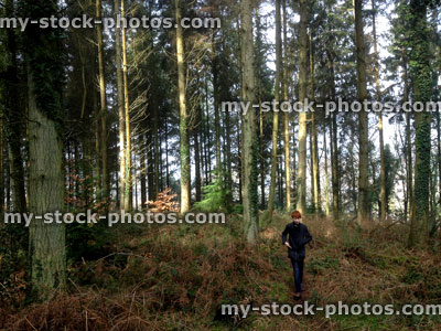 Stock image of young boy walking in woods, along woodland trail