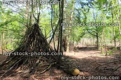 Stock image of woodland wigwams made with branches, children's woodland den / camp