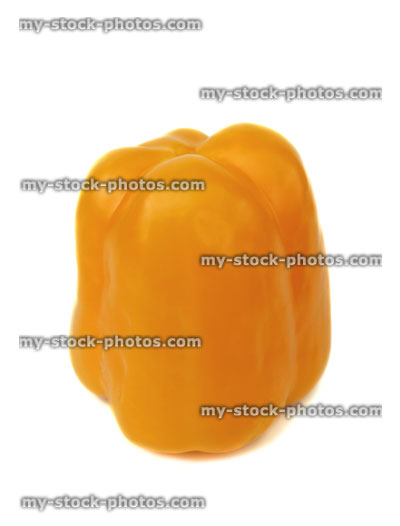 Stock image of large yellow pepper / capsicum, raw vegetable, white background