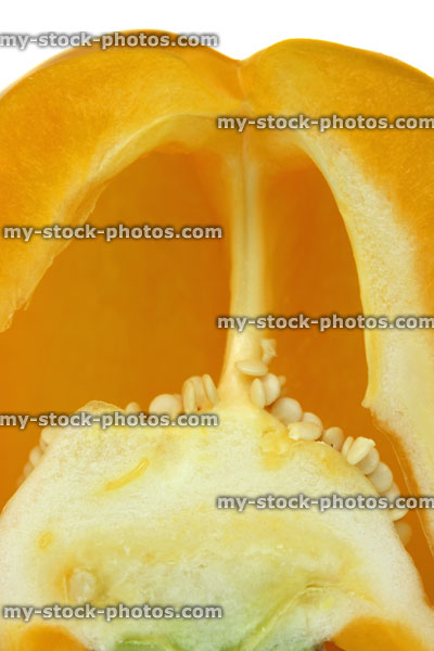 Stock image of yellow pepper cross section / capsicum, seeds, flesh, placenta, pericarp wall