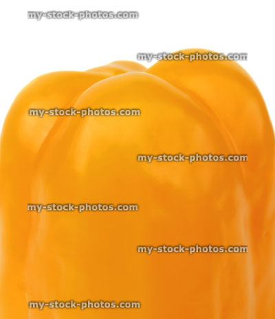 Stock image of yellow pepper / capsicum close up, raw vegetable, white background