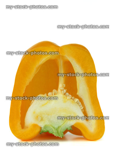Stock image of large yellow pepper / capsicum, cross section, cut in half