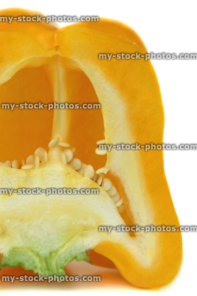 Stock image of large yellow pepper / capsicum, raw vegetable, cut in half