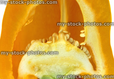 Stock image of half a yellow pepper / capsicum, raw vegetable, seeds